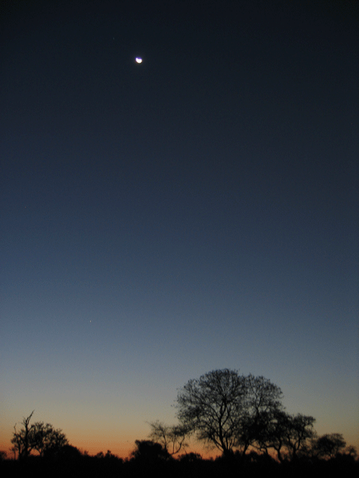 Dusk at Kruger Park