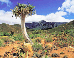 The Great Karoo in South Africa