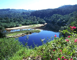 Knysna Lagoon