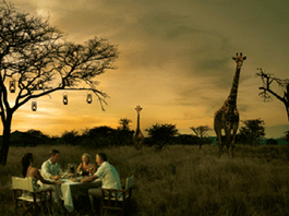 Dining-on-the-Savanna