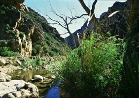 Swartbeg Pass