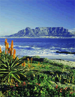 Magnificent Table Mountain