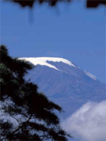 Snow near Cape Town